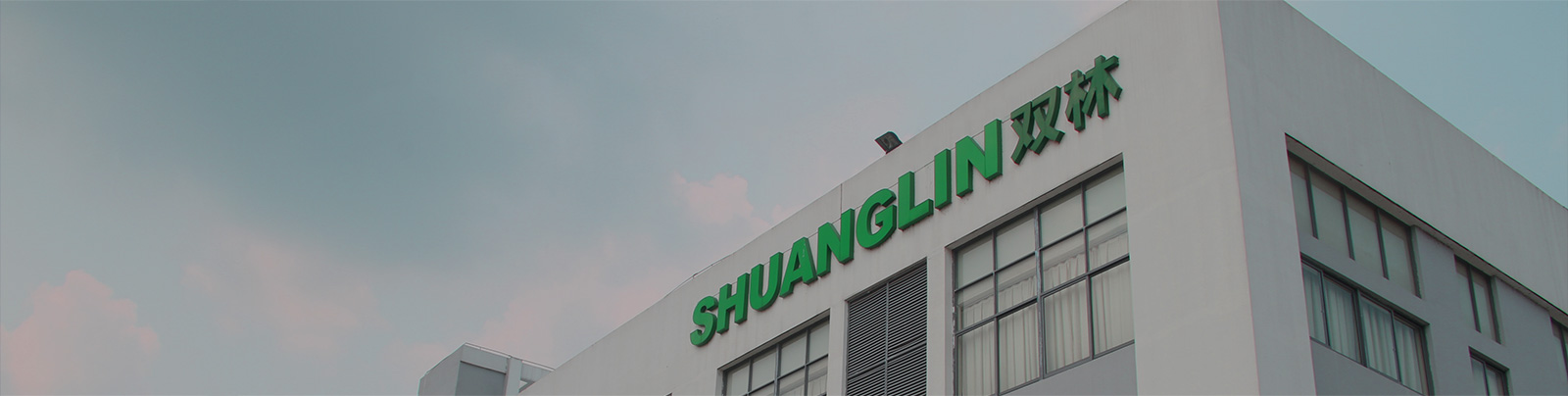 9001cc金沙以诚为本集团站群