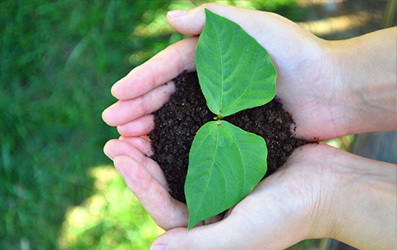 9001cc金沙以诚为本(中国)有限公司官网